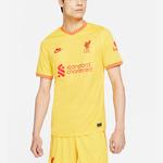 Мужское футбольное джерси Nike, цвет Yellow - фото 4