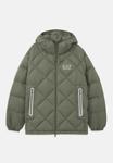 Куртка EA7 Emporio Armani MOUNTAIN QUILTED JACKET, Beetle/Dark Green - фото 6