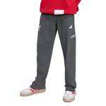 Детские штаны Adidas, серый - фото 3