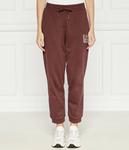 Брюки Regular fit Ea7, коричневый - фото