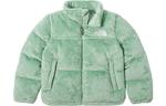 Детские пуховики/жилеты The North Face, зеленый - фото