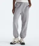 Женские брюки Evolution Simple Dome The North Face, TNF Pale Grey Heather - фото