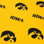 Чехол для стола Iowa Hawkeyes длиной 8 футов - фото 2