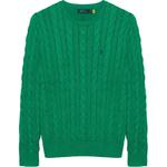 Polo Ralph Lauren Свитер мужской green - фото