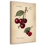 Картина арт-принт KUNSTLOFT Cherry, бежевый - фото
