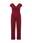 Комбинезон WAL G. Jumpsuit CONNOR, цвет carmine red - фото