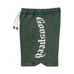 Шорты Godspeed CourtSide Shorts, Green Wash - фото 3