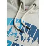 Худи Superdry Mountain Rainbow, бежевый - фото 4