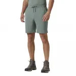 Шорты Helly Hansen Lifa Tech Lite shorts, серый - фото