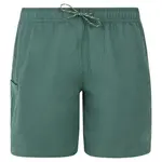 Шорты для плавания Protest Agaat 25, зеленый - фото