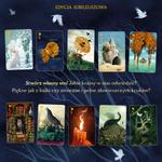 Настольная игра Dream Anniversary Edition Nasza Księgarnia - фото 5