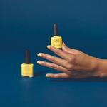 Шеллак Char-Truth №466 Cnd - фото 2