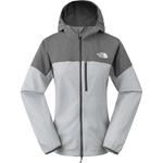 Куртка женская Stardust Grey/Pearl Grey Multicolor The North Face - фото
