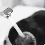 Ластик MakeUp черный 2 шт. Der original MakeUp Radierer - фото 5