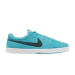 Кеды Nike Sb Eric Koston, бирюзовый - фото