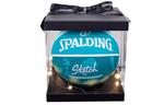 Эскизная серия баскетбольного мяча SPALDING - фото 5