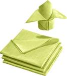 Салфетки в упаковке, 4 шт. 111636 Erwin Müller, зеленый - фото