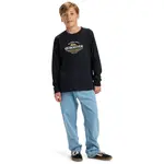 Детская футболка Ev Type Line Quiksilver, черный - фото 4