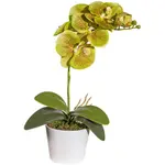 Искусственное растение Гаспер Gasper, зеленый - фото