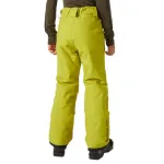 Брюки Helly Hansen Legendary, коралловый - фото 4