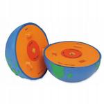 Модель пенопласта, модель поперечного сечения Inna marka - фото