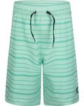 Шорты Hurley Pull-On Walkshorts, цвет Green Glow - фото 2
