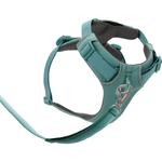 Передняя шлейка для собак Ruffwear, зеленый - фото 2