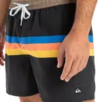 Мужские плавки Everyday Straight 15" Quiksilver, черный - фото 5