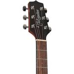 Акустическая гитара Takamine GN11M Satin Natural - фото
