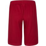 Брюки Jordan Regular Pants, красный - фото 2