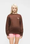 Толстовка budelli Ellesse, Chocolate Brown - фото