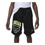 Шорты с логотипом пантеры Air Jordan, черный - фото