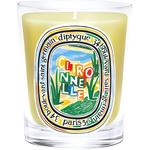 Ароматическая свеча Diptyque - фото