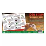 Выкопайте это! Яйца динозавров от MindWare - фото 2