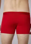 Боксерские шорты Bruno Banani "Short 2Pack Quick Access" (2 шт. в упаковке), контрастные детали, черный - фото 4