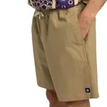 Бермуды мужские Chillin Classic 17" Element, зеленый - фото 3