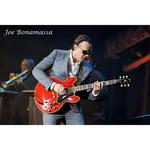 Гитара Epiphone Artist Joe Bonamassa Limited Edition Signature 1962 ES-335 - Sixties Cherry - фото 12