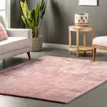 Ковер Loni Solid Shag Area Rug nuLOOM, 61x91 см, серый - фото 81