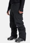 Лыжные брюки Quiksilver UTILITY, Black - фото 8