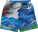 Шорты Supreme Ronin Silk Short 'Blue', синий - фото 3