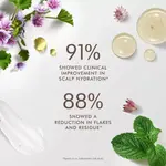 Шампунь для балансировки кожи головы Moroccanoil, объем 239 мл - фото 4