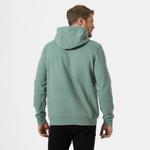 Толстовка Helly Hansen Logo Pullover Helly Hansen, Cactus - фото 6