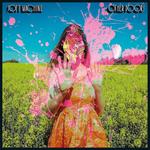 Диск CD Other Doors - Soft Machine - фото