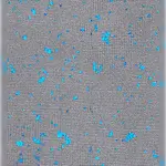 Носки Happy Dressed Stars Gray and Brown long, серый - фото 3