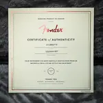 Fender American Professional II Stratocaster - Miami Blue (US240041807) - фото 14