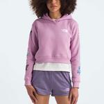 Детская толстовка The North Face, фиолетовый - фото 3