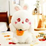 Плюшевая кукла Backpack Bunny And Cat высотой 27 см OLOEY - фото 10