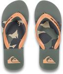 Мужские вьетнамки Quiksilver, Iris Leaf - фото 3