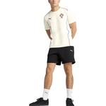 Футболка мужская almond candy PUMA, Almond Candy - фото 5