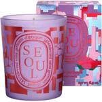 Свечи и восковые пластины Diptyque - фото